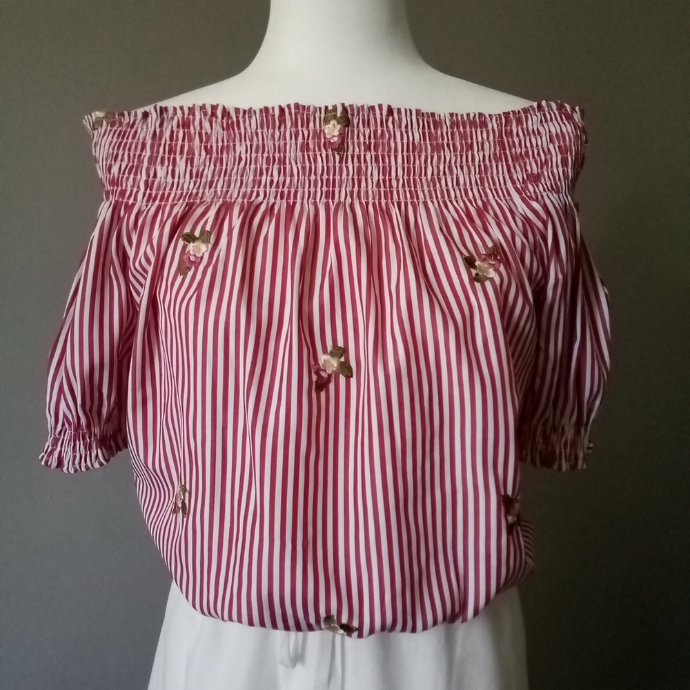 NWOT Flores Striped Embroidered Crop Top